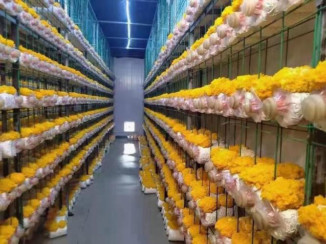 当前产地热卖产品扫码